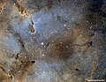 La Trompe d'éléphant et les nébulosités environnantes colorées en palette Hubble.