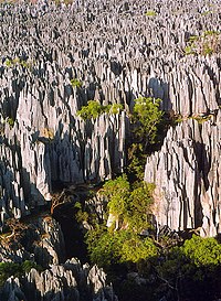 Tsingy de Bemaraha, Madagascar Tsingy de Bemaraha.jpg