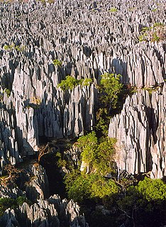 Tsingy de Bemaraha National Park