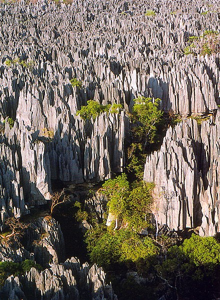 Tsingy de Bemaraha