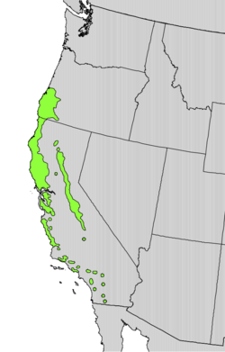 Utbredelseskart for californialaurbær