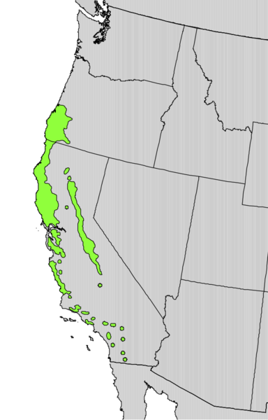 File:Umbellularia californica range map.png