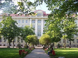 Université de médecine timisoara.jpg