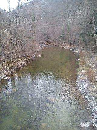 <span class="mw-page-title-main">Rzav (Golijska Moravica)</span> River in Serbia