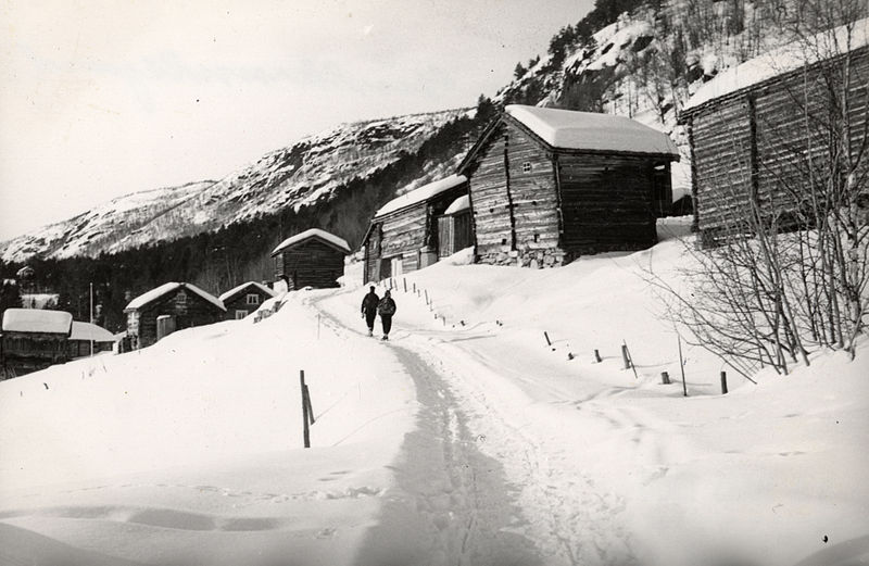 File:Veslegard, Sundalen, Buskerud - Riksantikvaren-T059 01 0121.jpg