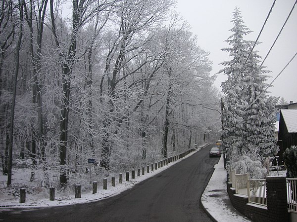 Pappelstraße in Vienna's 14th district, Penzing, a residential area bordering the Wienerwald