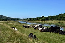 View from the river Ouse towards Offham