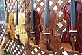 Violins made out of exotic woods.jpg