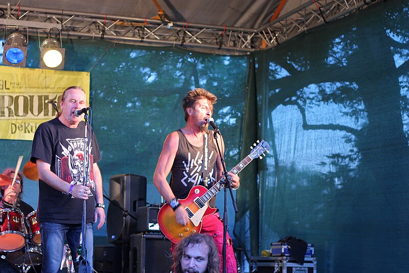 File:Visací zámek, festival Habrovka, 2014 (37).jpg