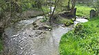 Eine Insel im Wöschhüslibach (nach vorne)