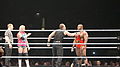 WWE 2013-11-08 21-19-32 NEX-6 DSC08123 (10924794284).jpg