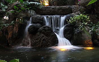 Disney's Polynesian Resort