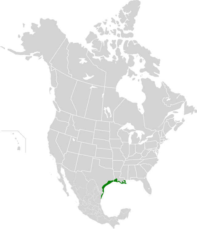 Distribuição do jaguarundi da costa do golfo