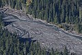 Mount Rainier National Park