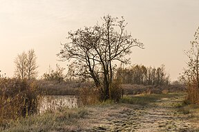 Winter im Nationalpark De Alde Feanen