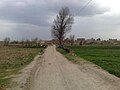 روستای ینگجه