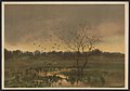 "A marsh twilight" - Louis K. Harlow ; by Louis K. Harlow. LCCN2016652348.jpg