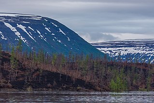 Landscape of the Putorana Nature Reserve. Vesennie snezhniki.jpg