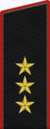 Colonel General