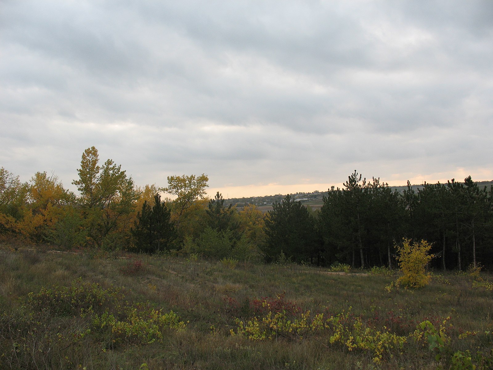 Погода в ларине