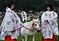 八王子流鏑馬 Hachioji Equestrian Archery 01