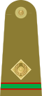 08.Pakistan Army-CWO.svg