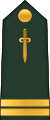 Lieutenant (Forces terrestres centrafricaines)