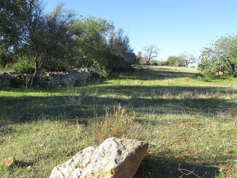 File:17 November 2016, Countryside view, Alfarrobeiras, Albufeira.JPG