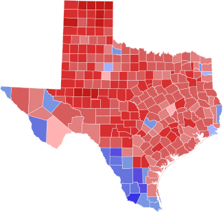 2006 TX attorney general election.svg