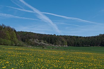 Väike Kulm