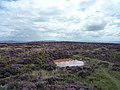 20140818 14 Offa's Dyke Path - Hatterall Hill (15097802776).jpg