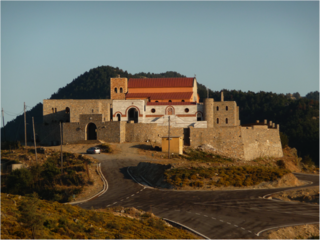 <span class="mw-page-title-main">Monastery of Panayia Yiatrissa</span>