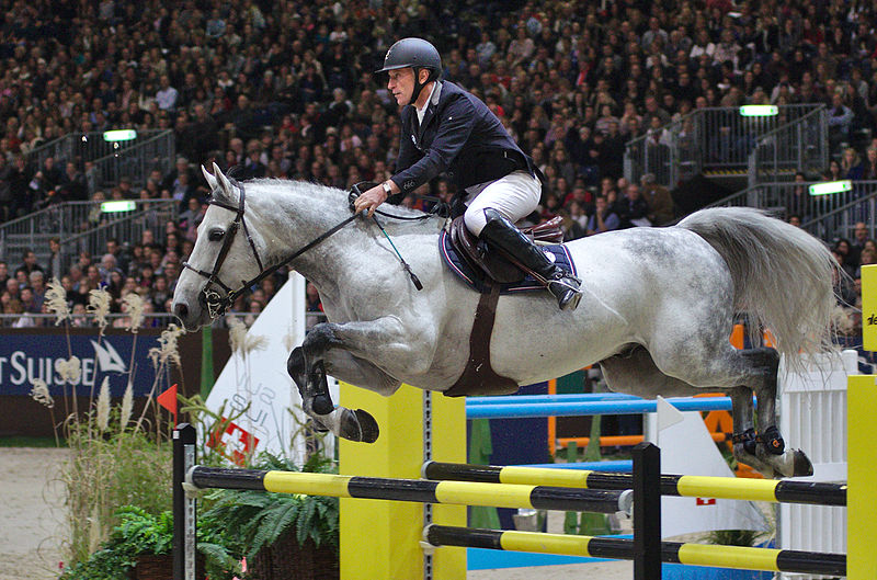 File:54eme CHI de Genève - 20141213 - Prix Credit Suisse - Roger Yves Bost et Pégase du Murier 1.jpg