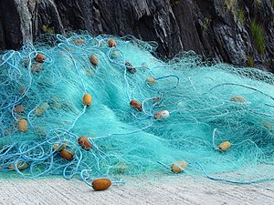 Nylon fishing net with float line attached to small plastic floats A fishing net in Brandon Creek - geograph.org.uk - 921094.jpg