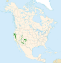 Abies concolor range map.svg