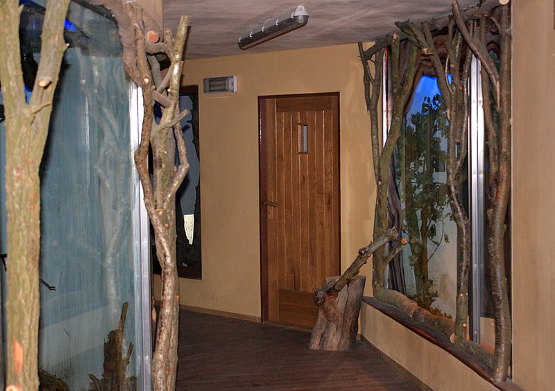 File:African Savannah house, Zoo Jihlava, corridor.jpg