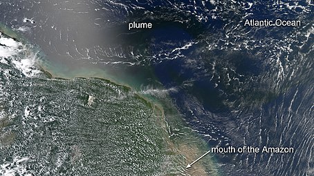 Blooms flourish in a dark plume of nutrient-rich water pouring from the mouth of the Amazon River, as seen by NASA's Aqua satellite.[25]