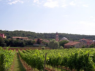 Alonte Comune in Veneto, Italy