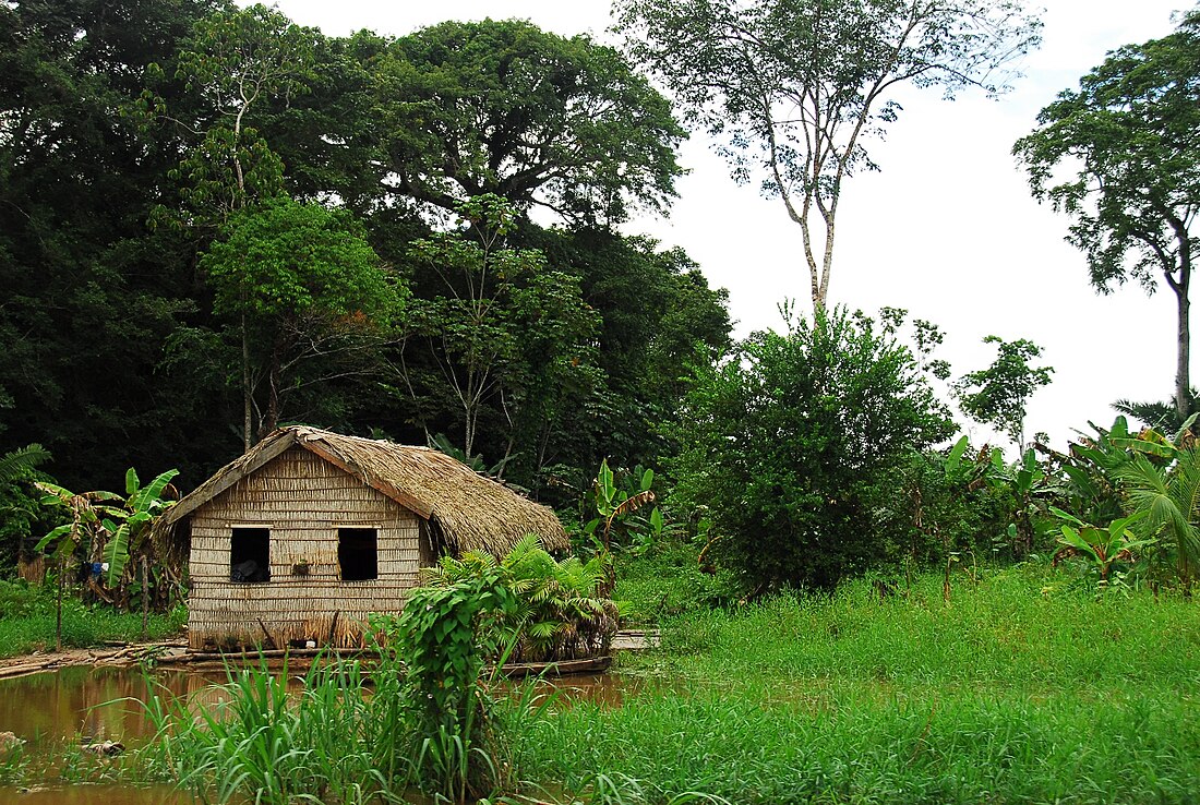 Vùng Bắc, Brasil