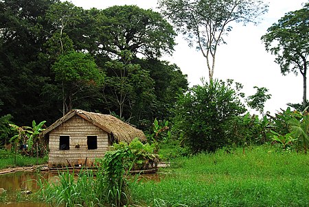 Amzon dwelling - panoramio.jpg