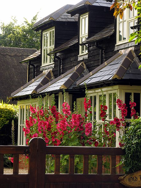 File:An English Country Garden, Woolstone - geograph.org.uk - 504794.jpg