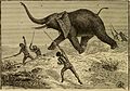 Category:Animal life on the globe (1895) - Wikimedia Commons