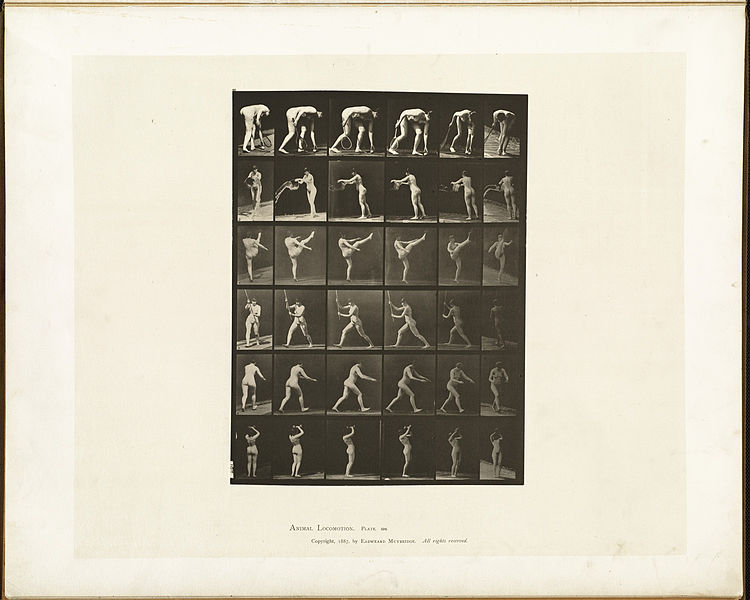 File:Animal locomotion. Plate 526 (Boston Public Library).jpg