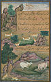 Animaux de l'Hindoustan : petits cerfs et vaches appelées gīnī, du manuscrit enluminé.