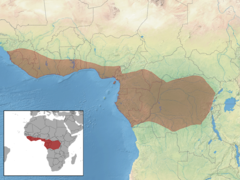 Mapa występowania