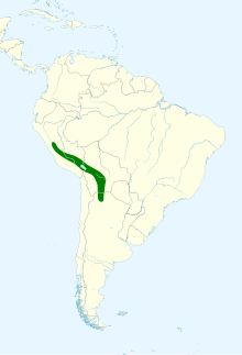 Anthus brevirostris map.svg