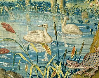 Salmander and swans