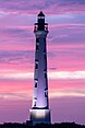 Aruba Lighthouse in pink.jpg