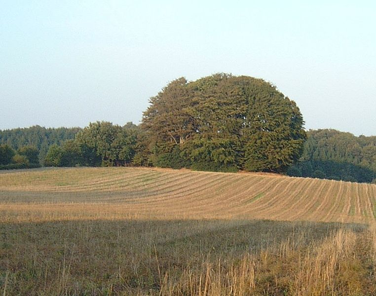 File:Aukrug-huenengrab-kluesbarg.jpg