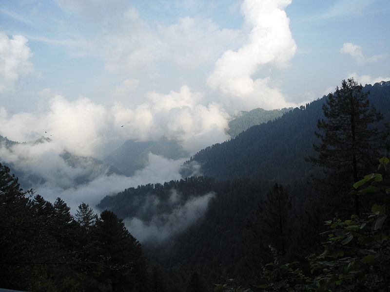 File:Ayubia National Park Track 2.JPG